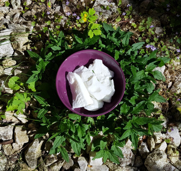 Mammut köröm (szójaviasz)